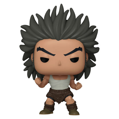 FUNKO POP HUNTER X HUNTER UVOGIN 1724